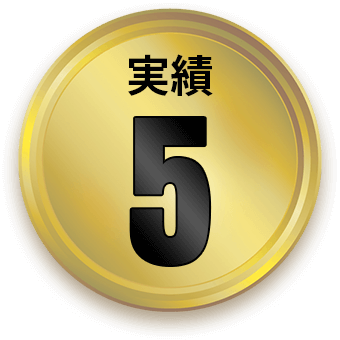 実績5