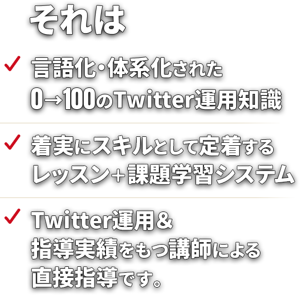 それは言語化・体系化された0→100のTwitter運用知識。着実にスキルとして定着するレッスン＋課題学習システム。Twitter運用&指導実績をもつ講師による直接指導です。