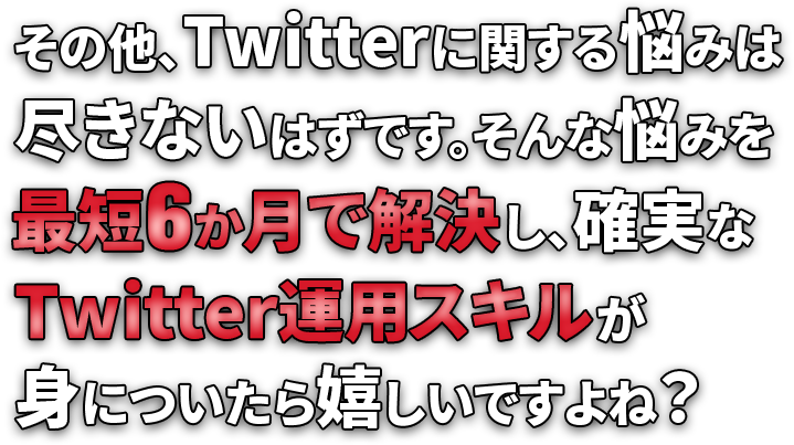 その他、Twitterに関する悩みは尽きないはずです。そんな悩みを最短6ヶ月で解決し、着実にTwitter運用スキルが身についたら嬉しいですよね？